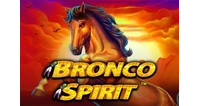 Bronco spirit