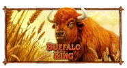 Buffalo King